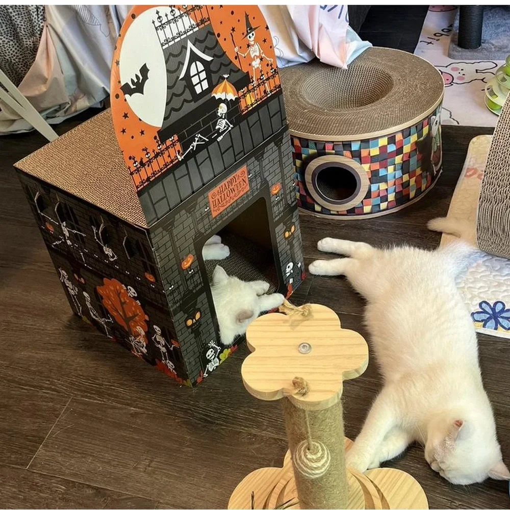 NWT Hyde & Eek Halloween Double Deck Skeleton Park Cat Scratcher